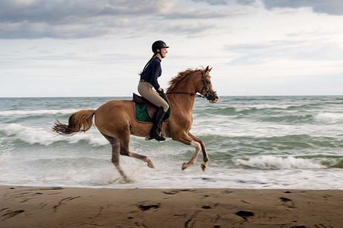 Young woman riding her horse at full gallop on the beach