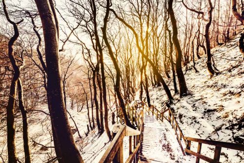 Sunrise at the snow covered staircase at Møns Klint.