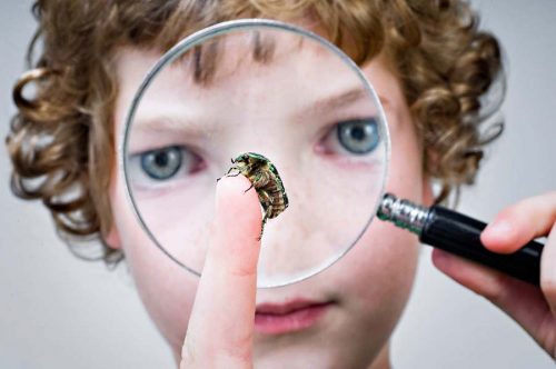 Portrait of a young boy looking at a bug through a magnifying glass