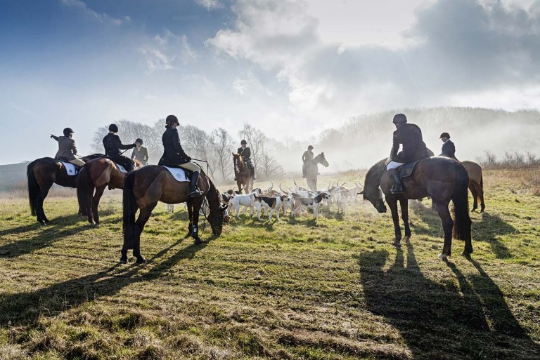 Hunting with horses and hounds