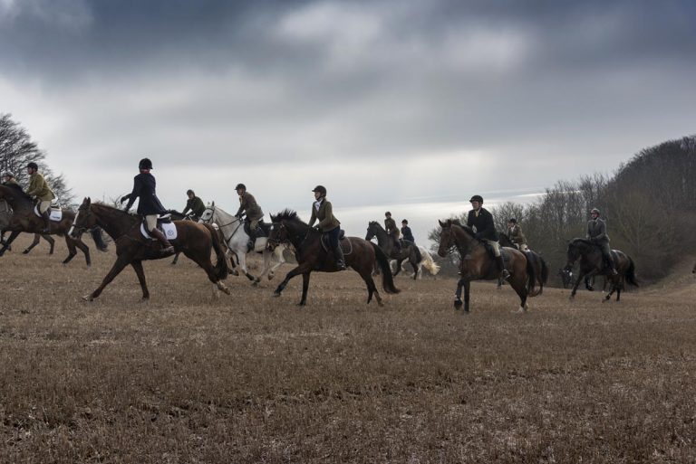 Hunting horses galloping across a field.