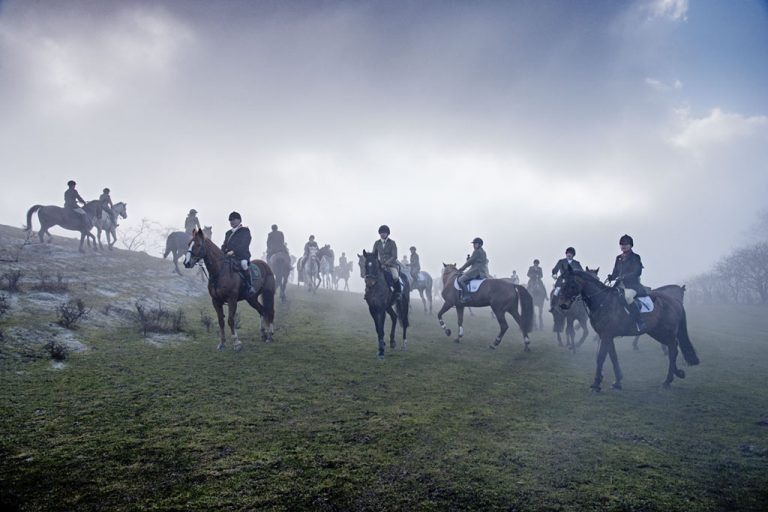 Horse and Hounds at Møns Klint