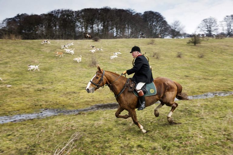 Huntsman galloping across a field