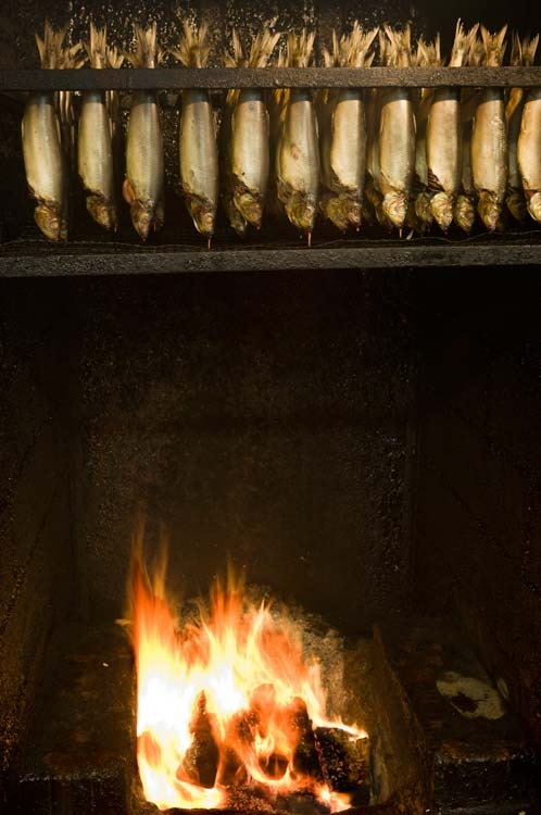 Herring being smoked in a smokery