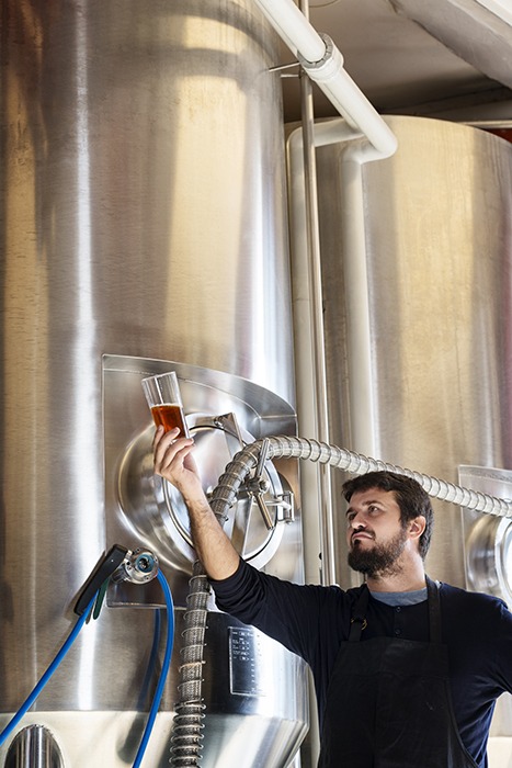 Beer maker checking his brew