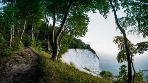 Panoramic view of Møns Klint.