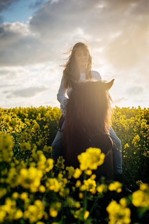 Horseback through a field of rapeseed field.