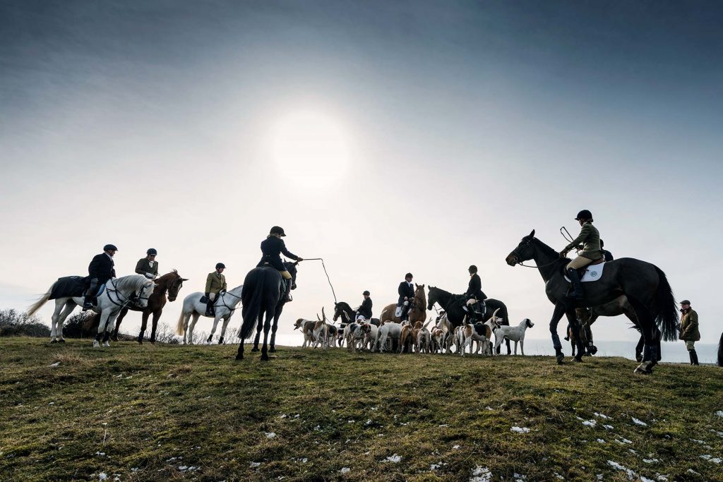 Horse and hounds gather on the top of a hill