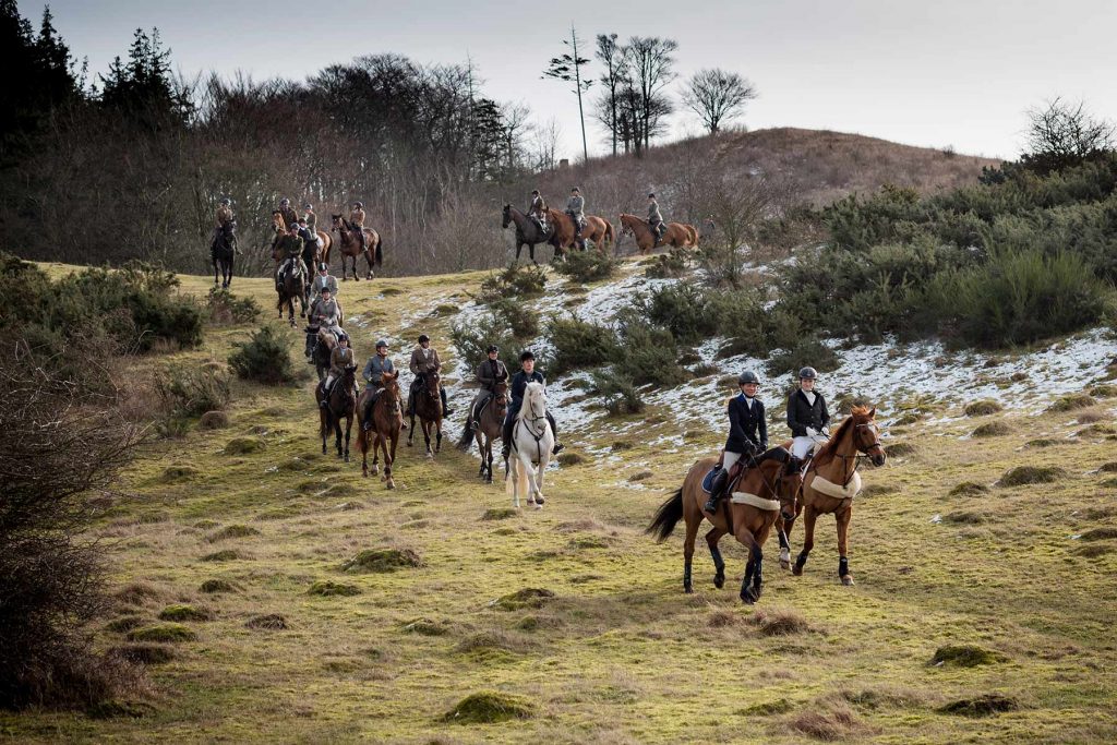 Group of horses and riders riding through the countryside.