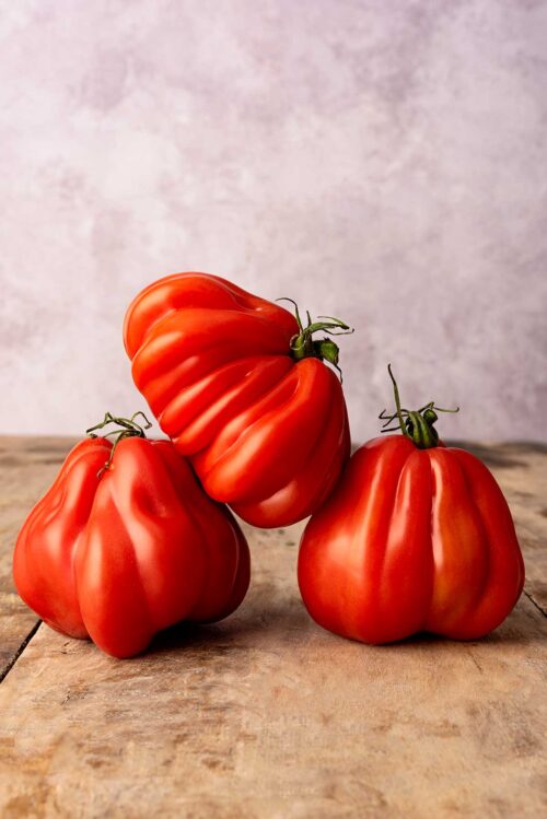 Ripe beefsteak heirloom tomatoes photographed against a plaster coloured background.